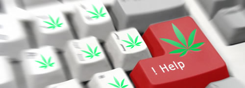 cannabishulp2